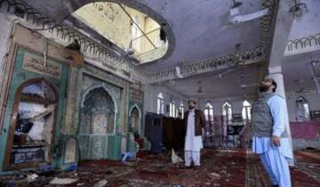انتحاری مسجد پیشاور در افغانستان آموزش دیده بود