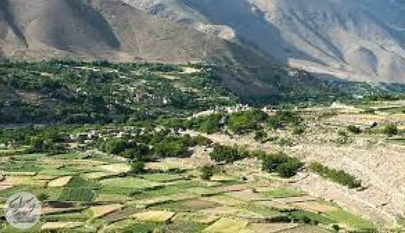 گروه طالبان ده منزل مسکونی را در استان پنجشیر تخریب کرده اند
